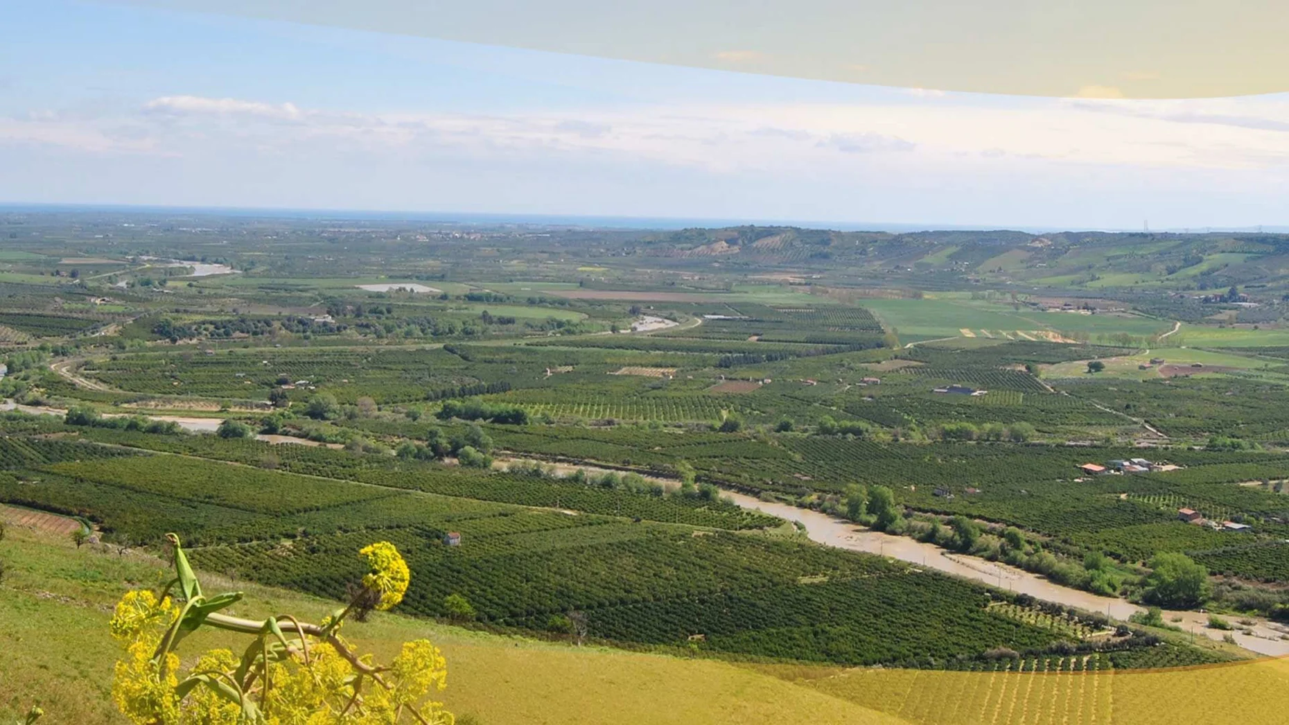 L'Eccellenza Autentica della Piana di Sibari